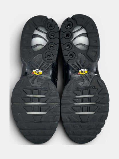 Nike Air Max Plus (TN) rozmiar 40.5