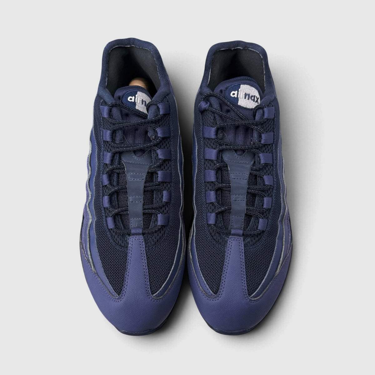 Nike Air Max 95 Sanded Purple, buty sportowe męskie w bardzo dobrym stanie rozmiar 46, widok z góry