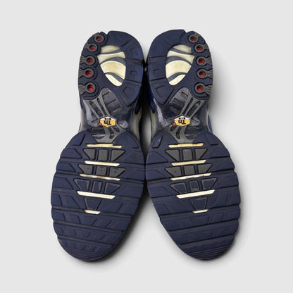 Nike Air Max Plus, buty sportowe męskie w dobrym stanie rozmiar 45, podeszwa