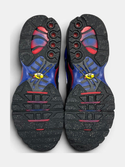 Nike Air Max Plus (TN) rozmiar 42.5