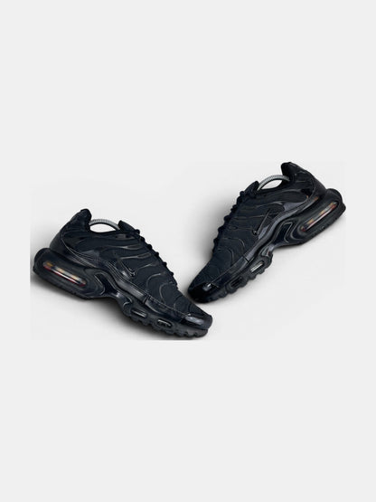 Nike Air Max Plus (TN) rozmiar 42.5
