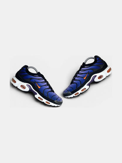 Nike Air Max Plus (TN) rozmiar 41