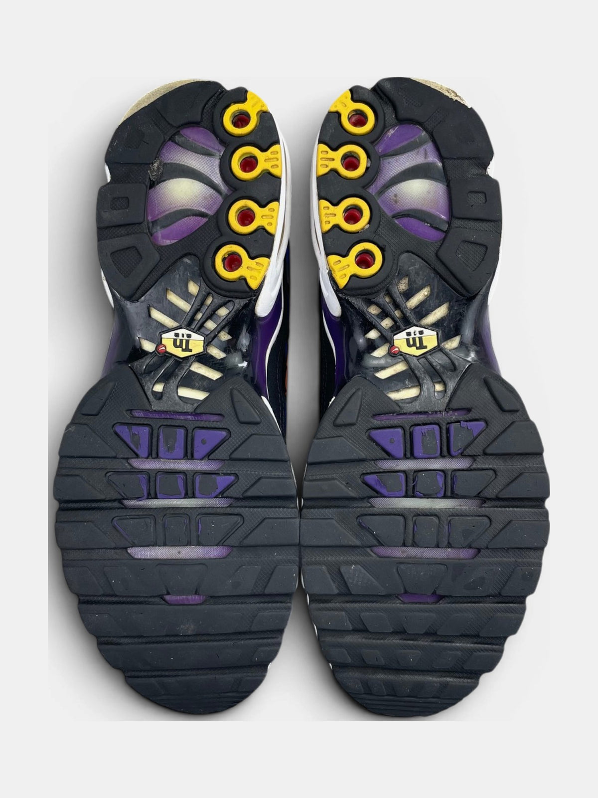 Nike Air Max Plus (TN) rozmiar 41