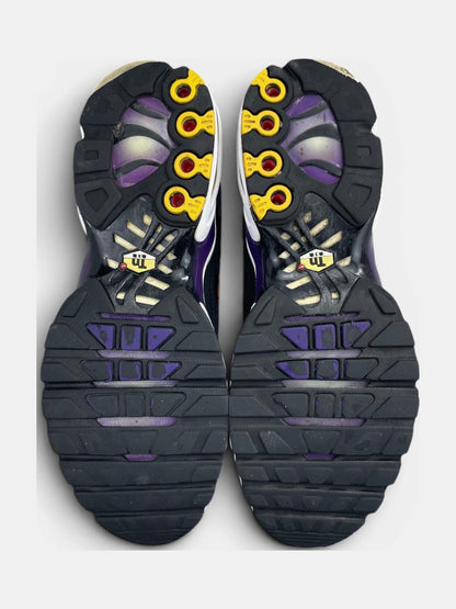Nike Air Max Plus (TN) rozmiar 41