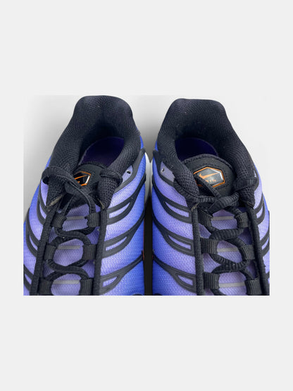 Nike Air Max Plus (TN) rozmiar 41