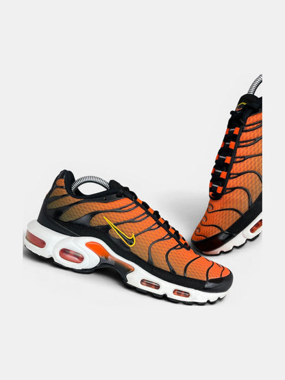 Nike Air Max Plus (TN) rozmiar 42.5
