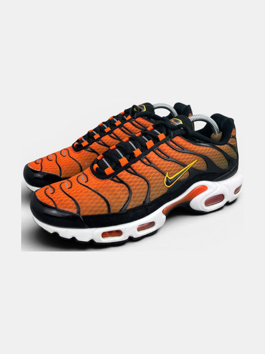 Nike Air Max Plus (TN) rozmiar 42.5