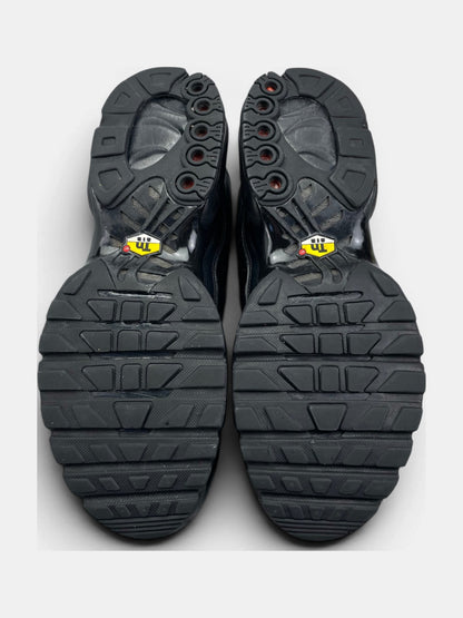 Nike Air Max Plus (TN) rozmiar 44