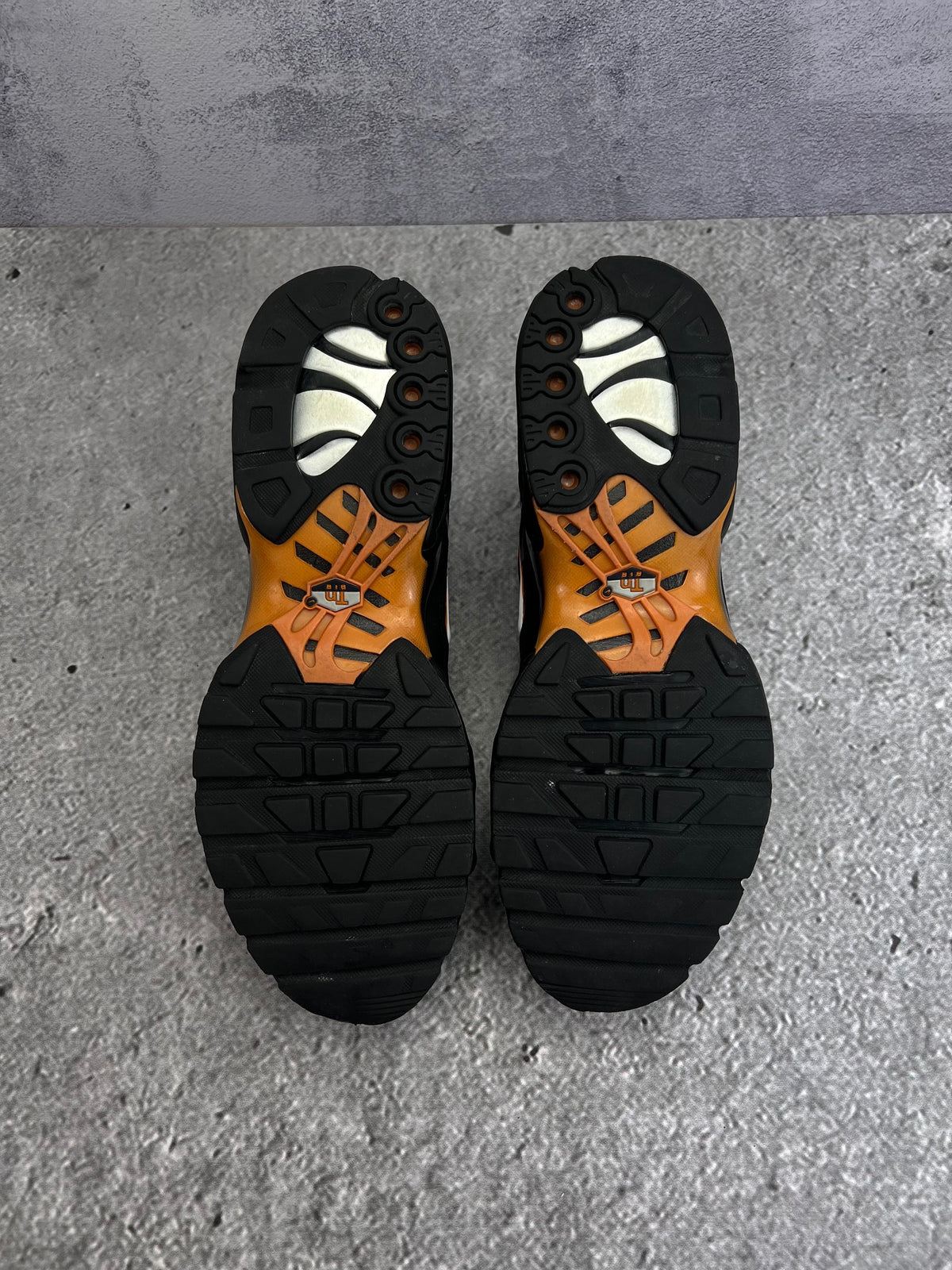 Nike Air Max Plus Dark Obsidian Monarch — buty sportowe męskie w bardzo dobrym stanie rozmiar 47.5, widok z tyłu