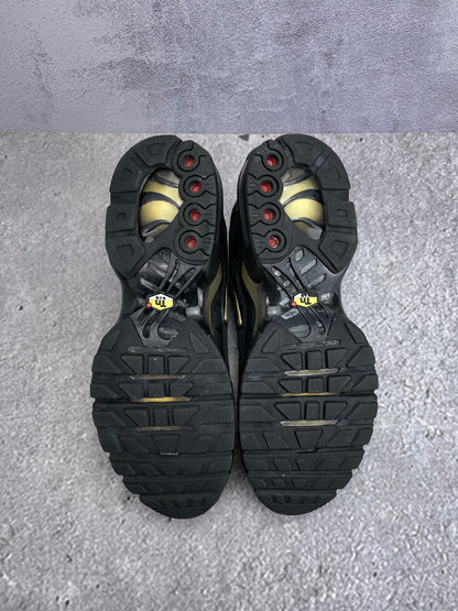 Nike Air Max Plus (TN) rozmiar 42.5