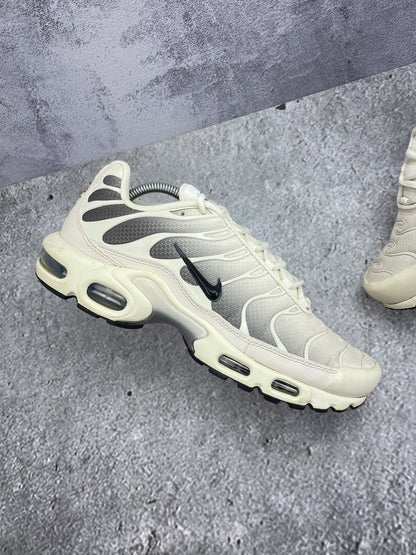 Nike Air Max Plus (TN) rozmiar 43