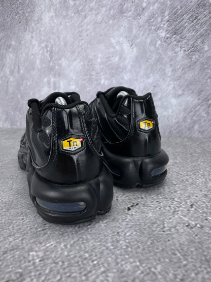 Nike Air Max Plus (TN) rozmiar 44