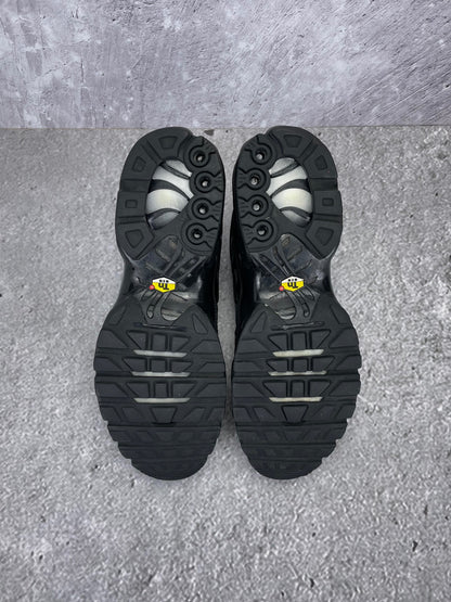 Nike Air Max Plus (TN) rozmiar 43