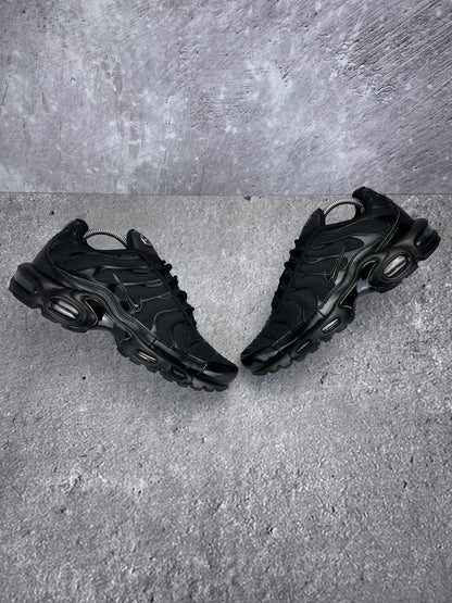 Nike Air Max Plus (TN) rozmiar 42.5