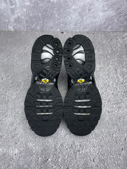 Nike Air Max Plus (TN) rozmiar 42.5