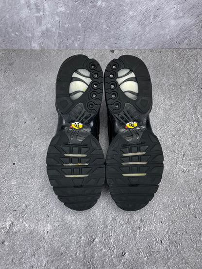 Nike Air Max Plus (TN) rozmiar 44.5