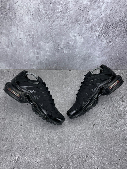 Nike Air Max Plus (TN) rozmiar 41