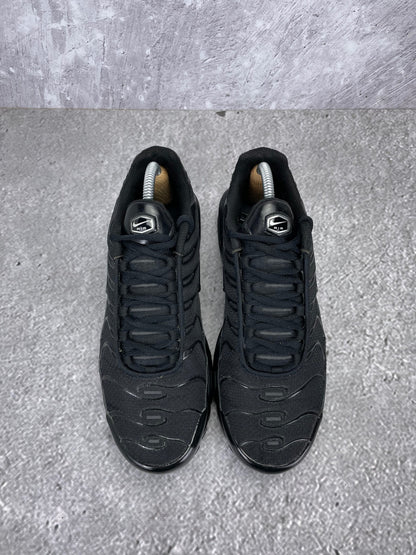 Nike Air Max Plus (TN) rozmiar 41
