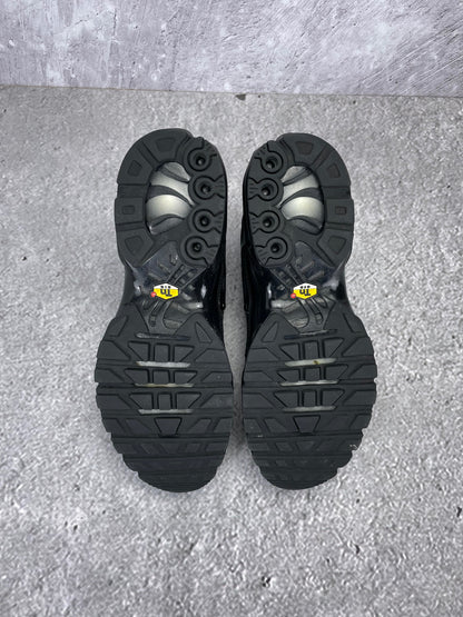 Nike Air Max Plus (TN) rozmiar 41