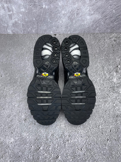 Nike Air Max Plus (TN) rozmiar 43
