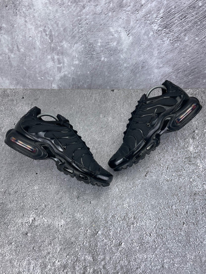 Nike Air Max Plus (TN) rozmiar 43
