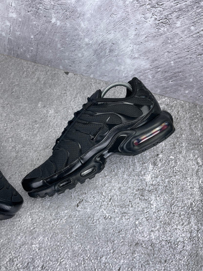 Nike Air Max Plus (TN) rozmiar 43