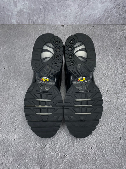 Nike Air Max Plus (TN) rozmiar 43