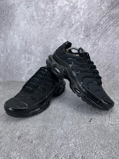 Nike Air Max Plus (TN) rozmiar 43