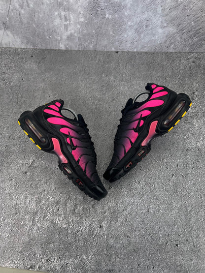 Nike Air Max Plus (TN) rozmiar 42