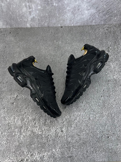 Nike Air Max Plus (TN) rozmiar 41
