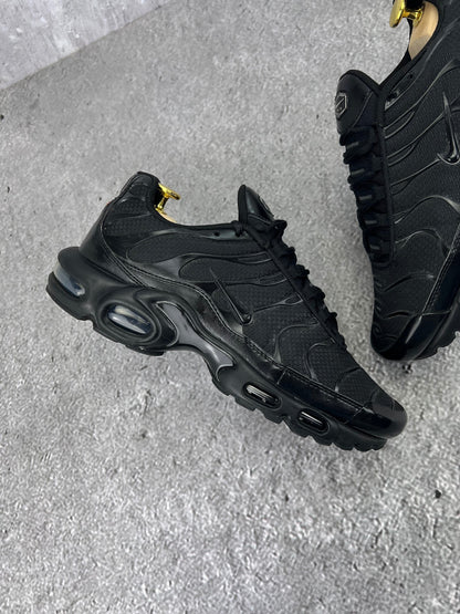 Nike Air Max Plus (TN) rozmiar 41
