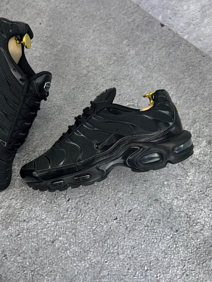 Nike Air Max Plus (TN) rozmiar 41