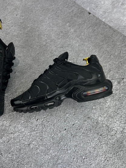 Nike Air Max Plus (TN) rozmiar 41