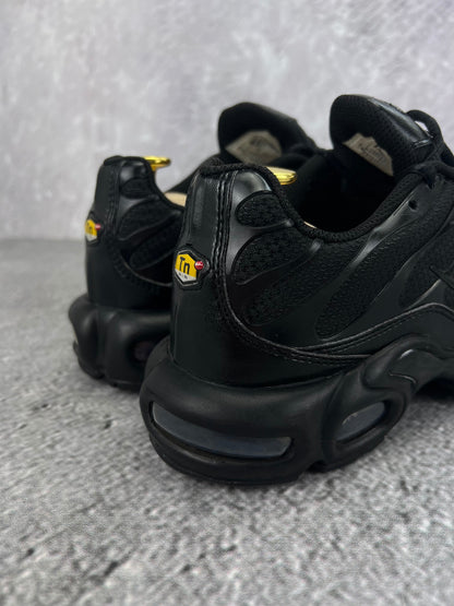 Nike Air Max Plus (TN) rozmiar 41