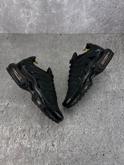 Nike Air Max Plus (TN) rozmiar 42.5
