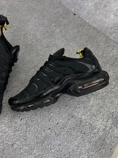 Nike Air Max Plus (TN) rozmiar 42.5