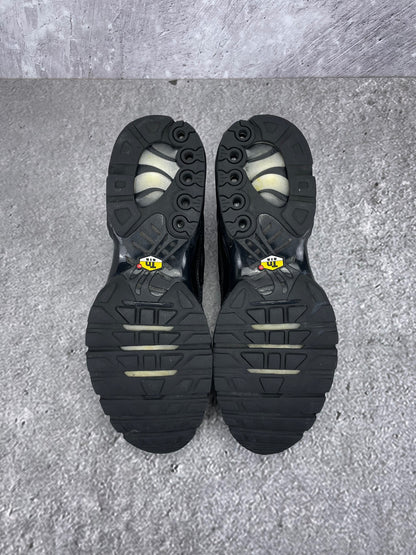 Nike Air Max Plus (TN) rozmiar 46