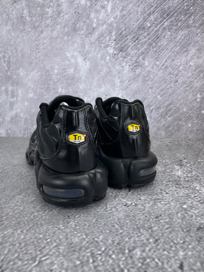 Nike Air Max Plus (TN) rozmiar 44