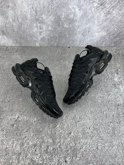 Nike Air Max Plus (TN) rozmiar 42