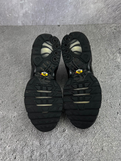 Nike Air Max Plus (TN) rozmiar 42