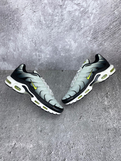 Nike Air Max Plus (TN) rozmiar 47