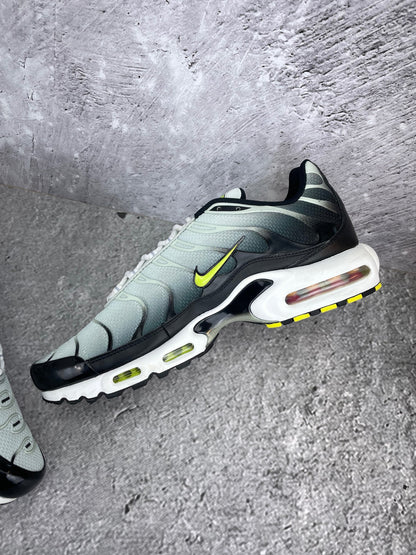 Nike Air Max Plus (TN) rozmiar 47