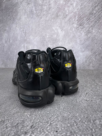 Nike Air Max Plus (TN) rozmiar 45