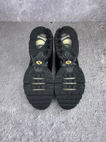 Nike Air Max Plus (TN) rozmiar 45