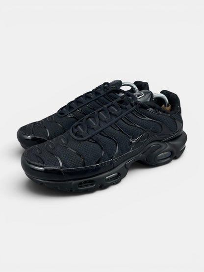 Nike Air Max Plus (TN) rozmiar 42.5