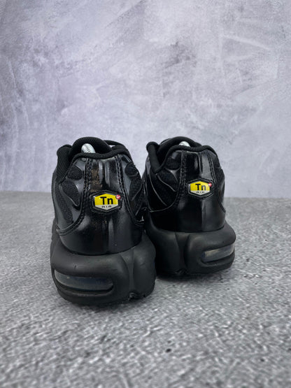 Nike Air Max Plus (TN) rozmiar 42.5