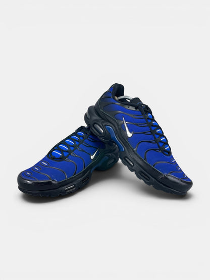 Nike Air Max Plus (TN) rozmiar 44.5