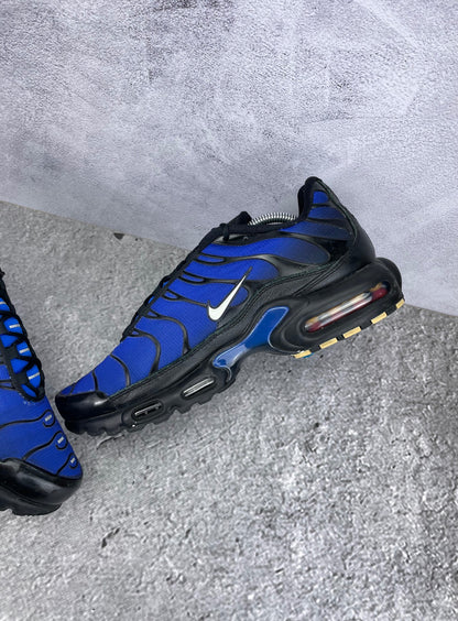 Nike Air Max Plus (TN) rozmiar 44.5