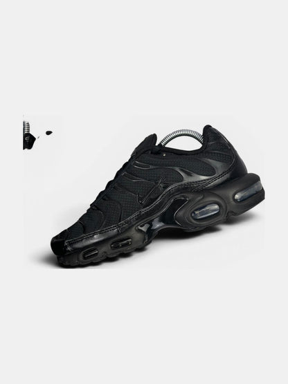 Nike Air Max Plus (TN) rozmiar 42