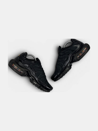 Nike Air Max Plus (TN) rozmiar 42